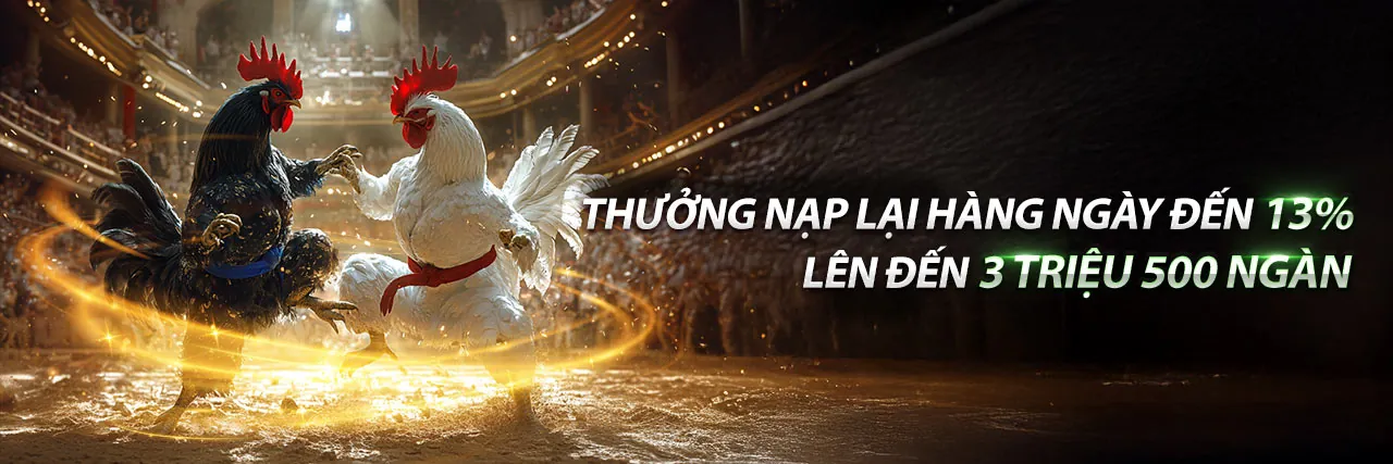 Đá Gà Trực Tuyến Hấp Dẫn tại bl55 game