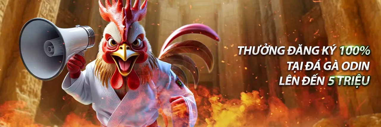 Nền tảng giải trí trực tuyến bl55 game